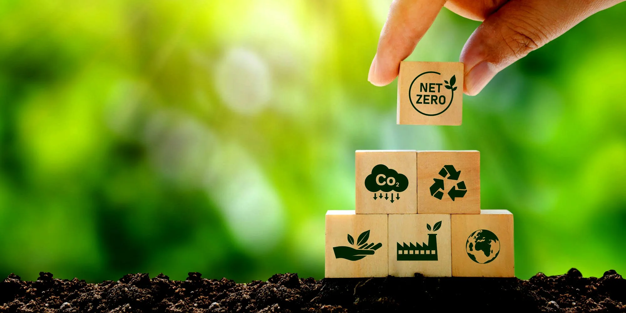 Plant Your Legacy Today